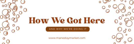 What got Us Started In The First Place